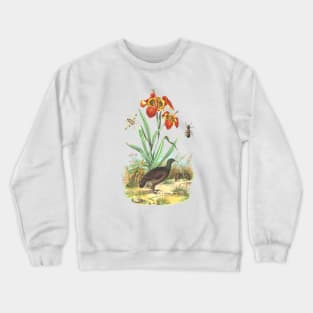 Wildlife Tropical Illustration Crewneck Sweatshirt